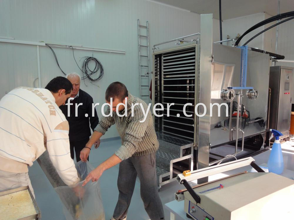 Pharmaceutical Industrial Vacuum Dryer